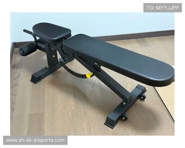 高端进口健身器材:提升家庭健身体验的最佳选择