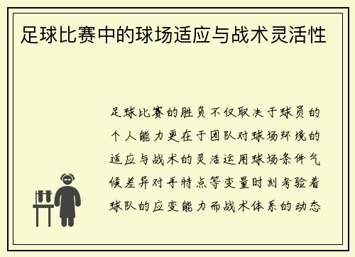 足球比赛中的球场适应与战术灵活性